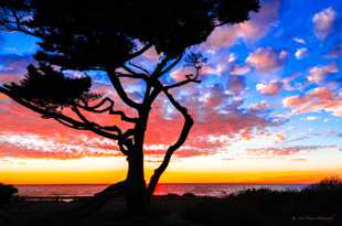 Carlsbad sunset-2272.jpg